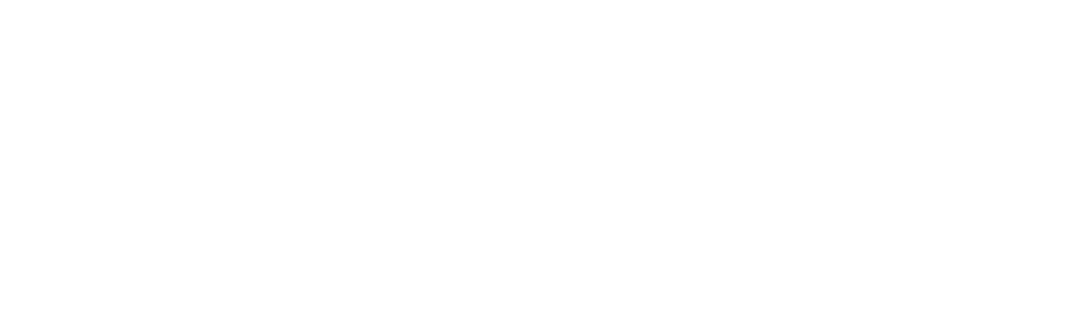 logo-m-risk-w